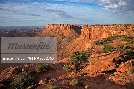 Grand View Point Overlook, Canyonlands National Park, Utah, United States of America, North America Grand View Point Overlook, Canyonlands National Park, Utah, United States of America, North America