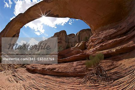 Hickman Bridge, Capitol Reef National Park, Utah, United States of America, North America