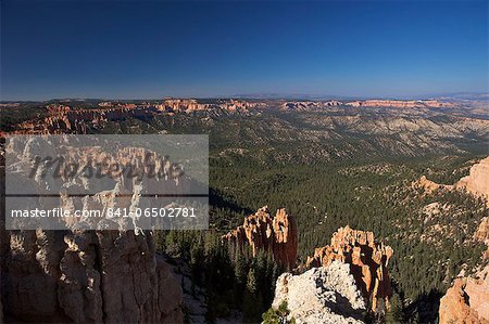 View early morning from Ponderosa Point, Bryce Canyon National Park, Utah, United States of America, North America