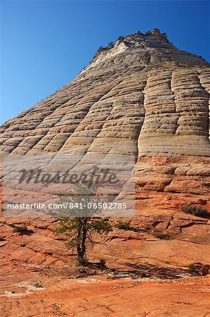 Checkerboard Mesa, formed of Navajo sandstone, Zion National Park, Utah, United States of America, North America