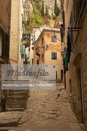 Narrow street in Old Town, UNESCO World Heritage Site, Kotor, Montenegro, Europe