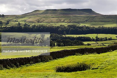 Addlebrough from Askrigg in Wensleydale, Yorkshire Dales, North Yorkshire, Yorkshire, England, United Kingdom, Europe