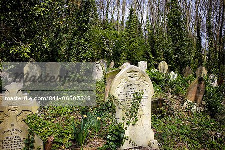 Graves at Highgate Cemetery, London, England, United Kingdom, Europe
