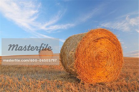 Close-up of Hay Bales in Field with Blue Sky, Province of Siena, Tuscany, Italy