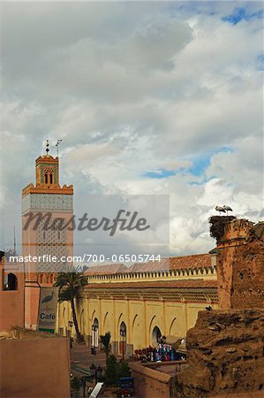 Overview of Mosque de la Kasbah with White Storks Nesting on Rooftop, Medina, Marrakesh, Morocco, Africa