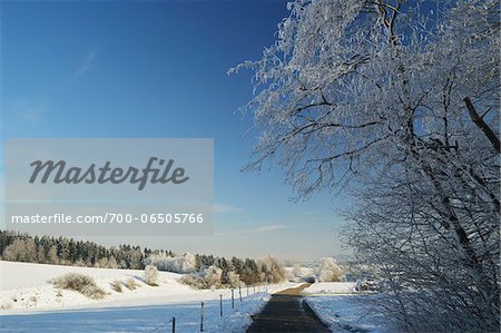 Country Road Through Wooded Area in Winter, near Villingen-Schwenningen, Baden-Wuerttemberg, Germany