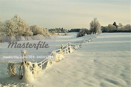 Snow-Covered Fence in Field with Frost Covered Trees and House in Distance, near Villingen-Schwenningen, Schwarzwald-Baar, Baden-Wuerttemberg, Germany