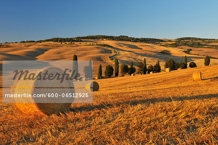 Hay Bale, Province of Siena, Tuscany, Italy