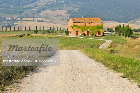 Dirt Road with Farmhouse in Summer, San Quirico d'Orcia, Province of Siena, Tuscany, Italy