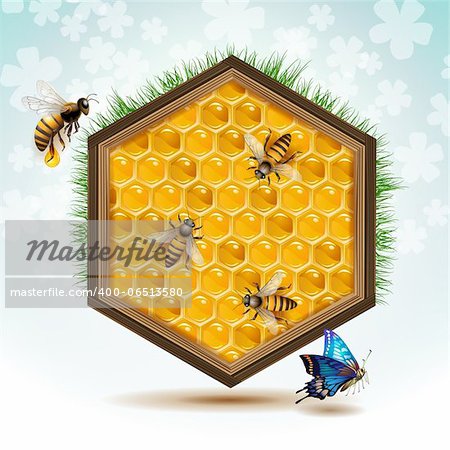 Wood frame with bees and honeycombs