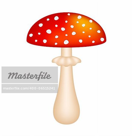 Amanita (red amanita) isolated on white background