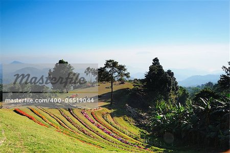 Mountain Hill clear sky in Huey Nam Dung, Chiangmai, Thailand