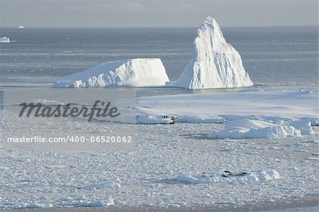 Icebergs near the island of ice fields.