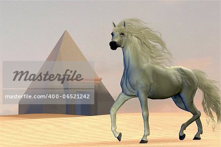 An wild Arabian horse passes by a pyramid in the deserts of Egypt.