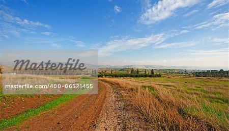 Plantation of Date Palms and Oranges in the Winter Israel