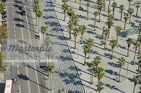 Pattern of Palmtrees and concrete