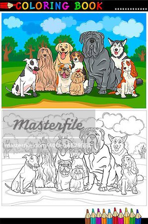 Cartoon Illustration of Funny Purebred Dogs like Bull Terrier, Colie, Bulldog, Maltese, Beagle, Spaniel and Husky for Coloring Book or Coloring Page