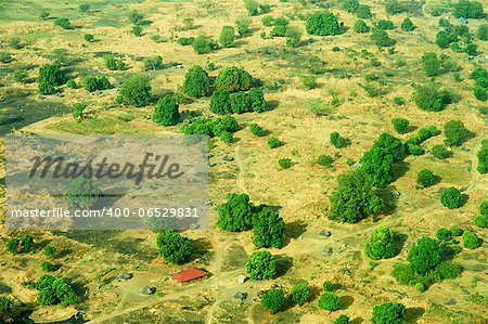 green and yellow pasture with single trees and a single house