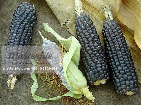 mini blue corn on old wooden background