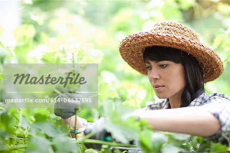 Woman working in garden