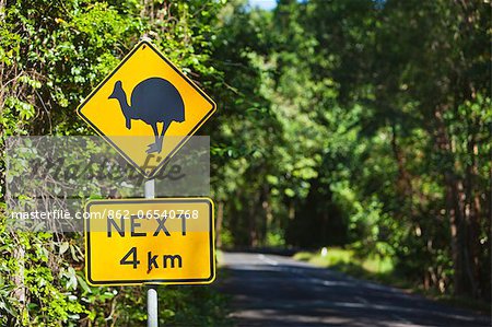 Australia, Queensland, Daintree.  Cassowary crossing sign in Daintree National Park.  The cassowary is an endangered species of flightless bird, native to the rainforests of north Queensland.