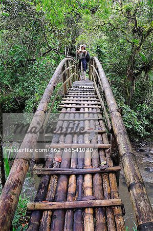 Woman standing on bamboo bridge, Terradentro, Colombia, South America