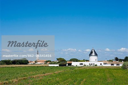 France, Charente Maritime, Ile de Re.  View across a field towards  the tower of an old windmill now converted into a house just outside the village of Ars en Re.