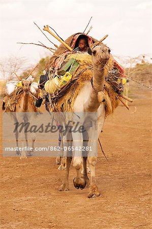 Merti, Northern Kenya. A child on top of a camel as a nomadic family migrates.