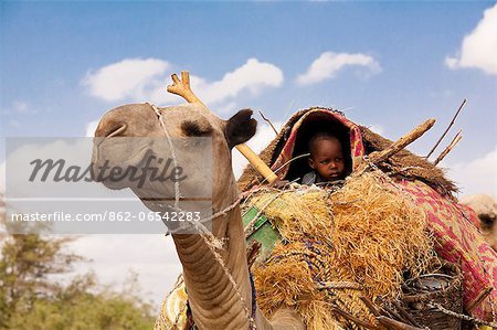 Merti, Northern Kenya. A child on top of a camel as a nomadic family migrates.