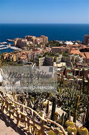 Exotic Garden in Principality of Monaco, Europe