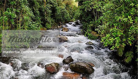 Caldera Creek rapids in Boquete, Panama, Central America