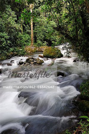 Caldera Creek in Boquete, Panama, Central America