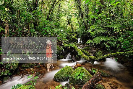 Photographer Wading in creek at Parque Nacional de Amistad near Boquete, Panama, Central America.