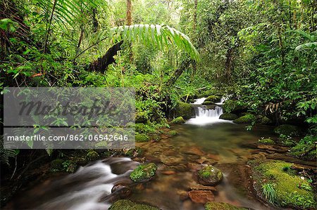 Creek at Parque Nacional de Amistad near Boquete, Panama, Central America. Creek at Parque Nacional de Amistad near Boquete, Panama, Central America.