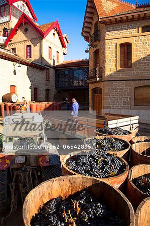 Bodega Lopez de Heria wine cellar in the village of Haro, La Rioja, Spain, Europe