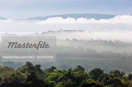 Early morning mist over Lake Kacheera, Uganda, Africa