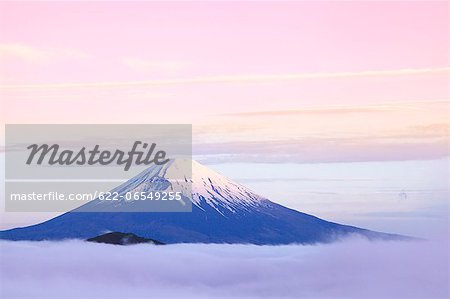 Sea of ??clouds and morning glow at Mount Fuji