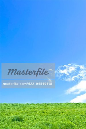 Grassland and blue sky with clouds