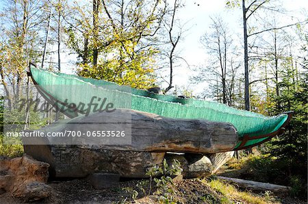 Gläserne Arche, Glass Ark in Forest with Bright Sunlight, Bavarian Forest National Park, Bavaria, Germany