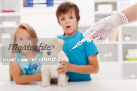 Kids at the veterinary doctor with their little kitten about to get an injection