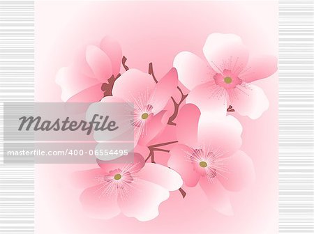 cherry flowers on a striped background