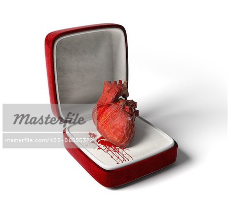 anatomical heart as a love gift (3D concept)