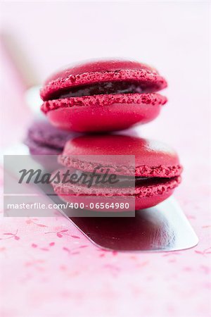 Closeup of sweet macaroons on metal cake server