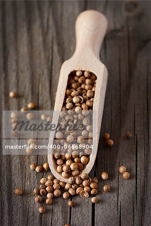 Spicy coriander seeds in a wooden scoop.