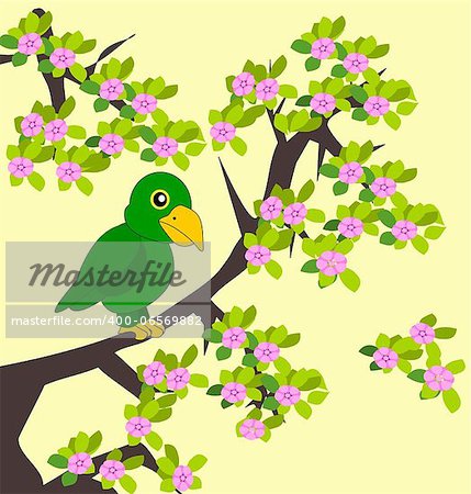 A green parrot in a flowering     tree.