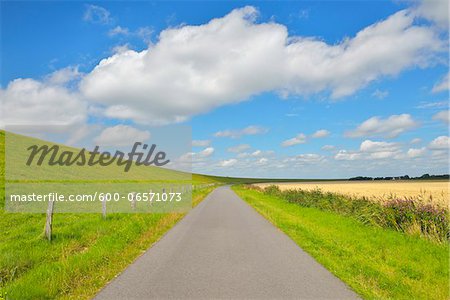 Road with North Sea Dike, Simonsberg, Schleswig-Holstein, Germany Road with North Sea Dike, Simonsberg, Schleswig-Holstein, Germany