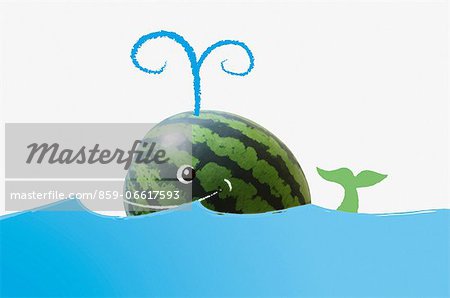 Watermelon Illustration