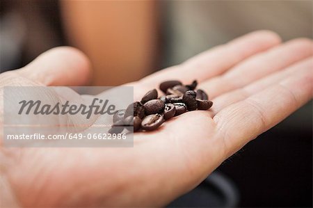 Close up of hand holding coffee beans