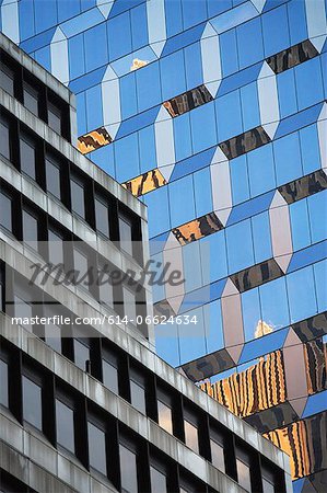 Windows of urban skyscrapers