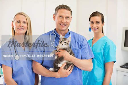Veterinarians holding cat in vet's surgery